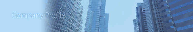 Company Profile